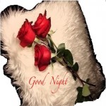 Good Night Love Quotes For Girlfriend