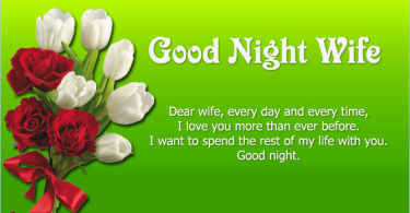 Good Night Messages for Wife